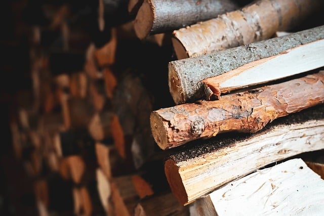 カテゴリ別に仕分けられた持ち物 断捨離プロセス 明るい部屋